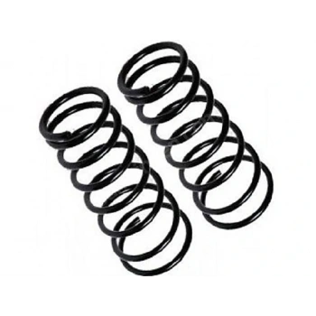 HELEZON YAYI ON DUSTER