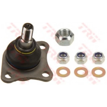 ROTIL ALT PALIO ALBEA SIENA