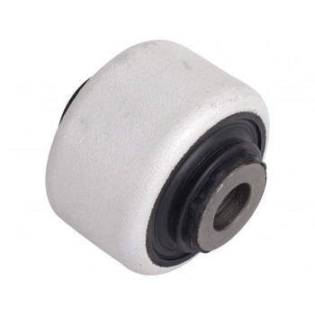 SALINCAK BURCU C5 III C6 08 > P407