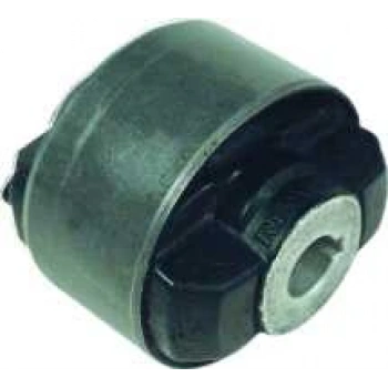 SALINCAK BURCU LAGUNA I ESPACE