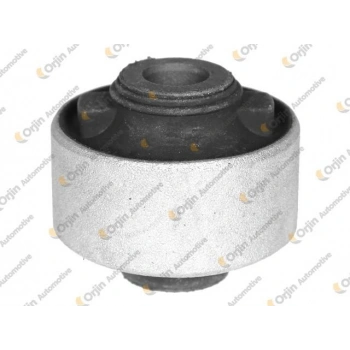 SALINCAK BURCU (ORTA) P207 C3