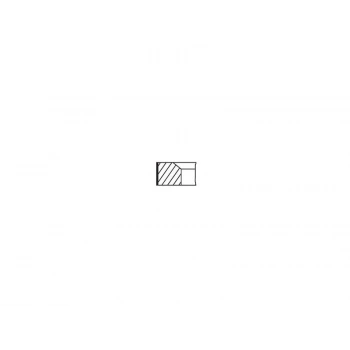 SEGMAN ( 76.00 MM 0.50 ) CLIO KANGOO 1.5 DCI K9K