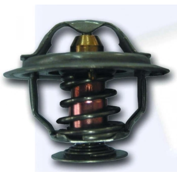 TERMOSTAT MASTER TRAFIC 2.5 D 2.5 TD 2.8 DTI 76C