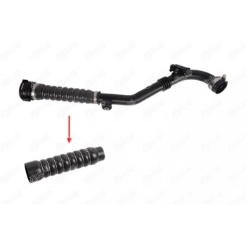 TURBO HORTUMU PLASTIK BORU HARIC LAGUNA III