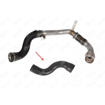 TURBO HORTUMU UZUN (METAL BORU HARIC) MGN III-FLUENCE 1.5 DCI 110HP 09=>