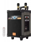 EMRTECH LT-910 Karaoke Bluetooth Hoparlör Çift Mikrofonlu Süper Bass Toptan