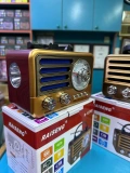 Raiseng R-137 Nostaljik Radyo Bluetooth FM Dekoratif Küçük Boy Toptan