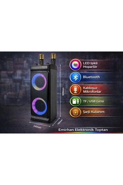 ZQS-4290 Karaoke Bluetooth Hoparlör RGB Işıklı 2 Mikrofonlu 30W Toptan