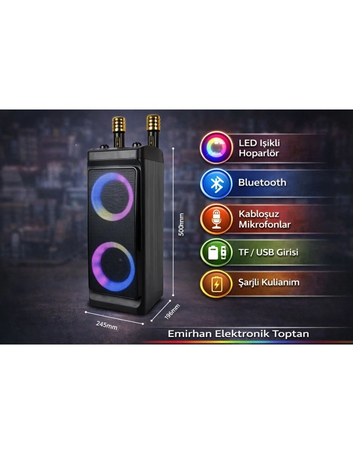 ZQS-4290 Karaoke Bluetooth Hoparlör RGB Işıklı 2 Mikrofonlu 30W Toptan