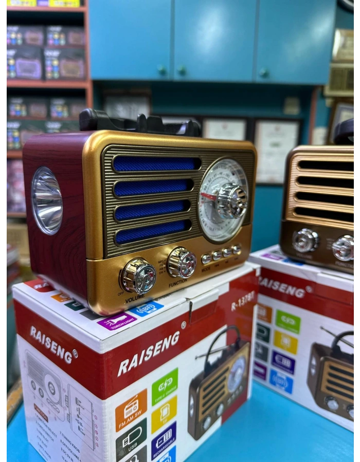 Raiseng R-137 Nostaljik Radyo Bluetooth FM Dekoratif Küçük Boy Toptan
