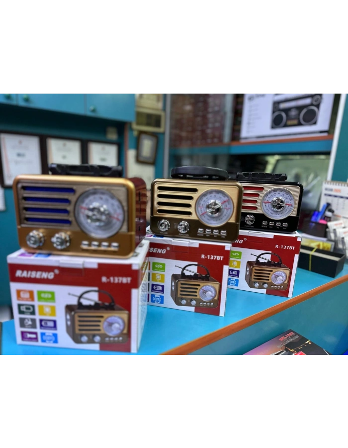 Raiseng R-137 Nostaljik Radyo Bluetooth FM Dekoratif Küçük Boy Toptan