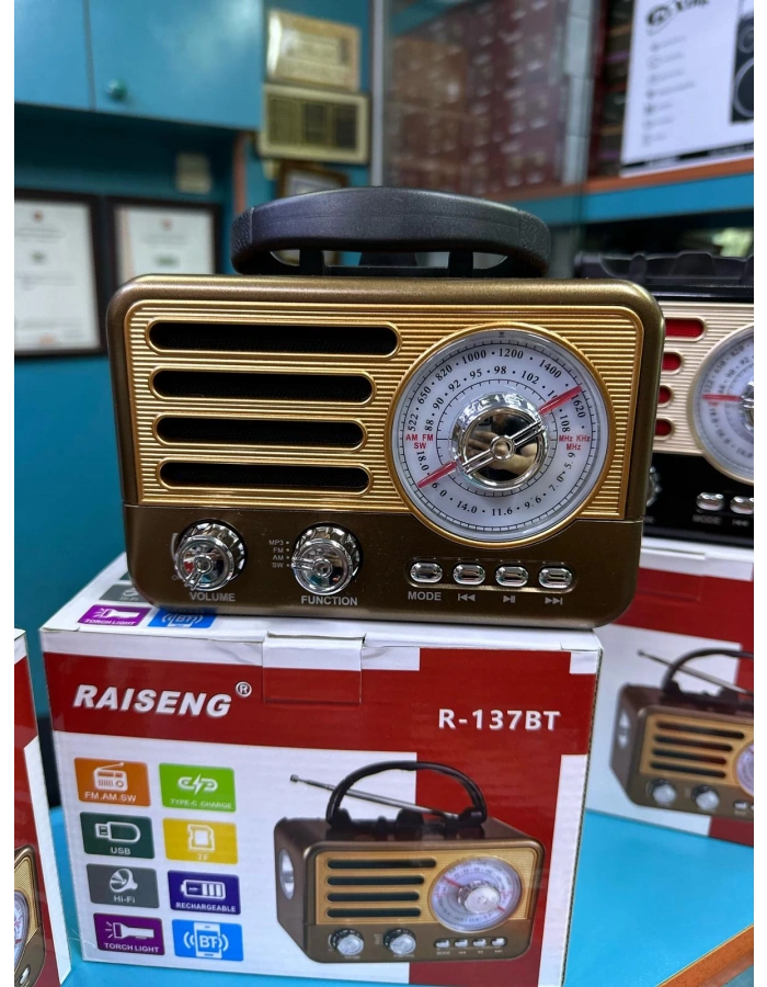 Raiseng R-137 Nostaljik Radyo Bluetooth FM Dekoratif Küçük Boy Toptan