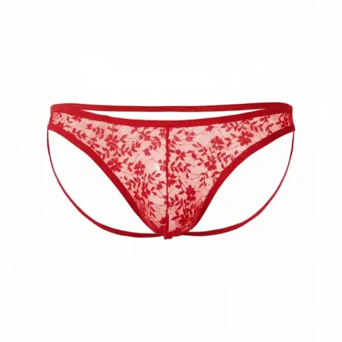 Seksi Dantelli Arkası Açık Seksi Kırmızı Erkek Külot