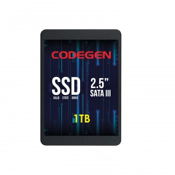 CODEGEN CDG-1TB-SSD25 2.5 1TB (560/500MB/s) SATA SSD Disk