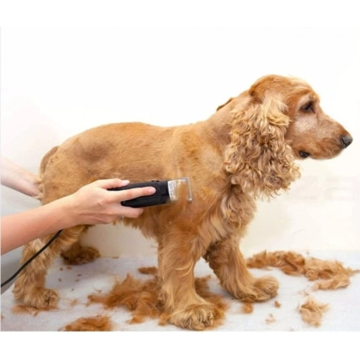 Evcil Hayvan Traş Makinesi Mepol 8008 Köpek Traş Aleti