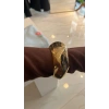 Dalga Formlu Gold Kelepçe