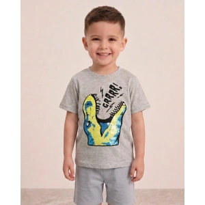Dinozor Pullu Erkek Çocuk Tişört