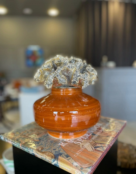 Mercan Kapaklı Seramik