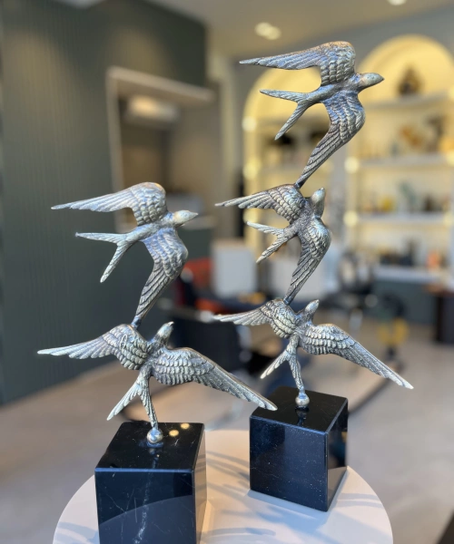 Bronz Kırlangıç