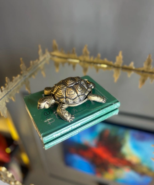 Kaplumbağa Kültablası