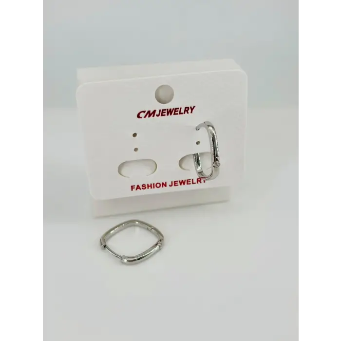 Rodyum Zirkon Taşlı Pirinç Küpeler - Kp00482