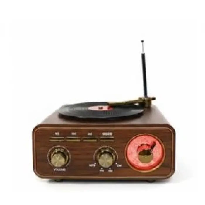 Everton RT-712  Bluetooth Usb-Micro Plak Radyo (KDO)