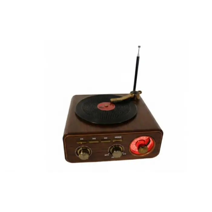 Everton RT-712  Bluetooth Usb-Micro Plak Radyo (KDO)