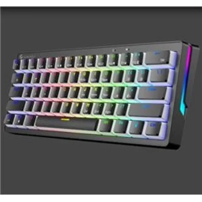 Gameagle GE2014 Poseıdon RGB Kablolu Us Layout Mekanik Siyah Oyuncu Klavyesi (KDO)