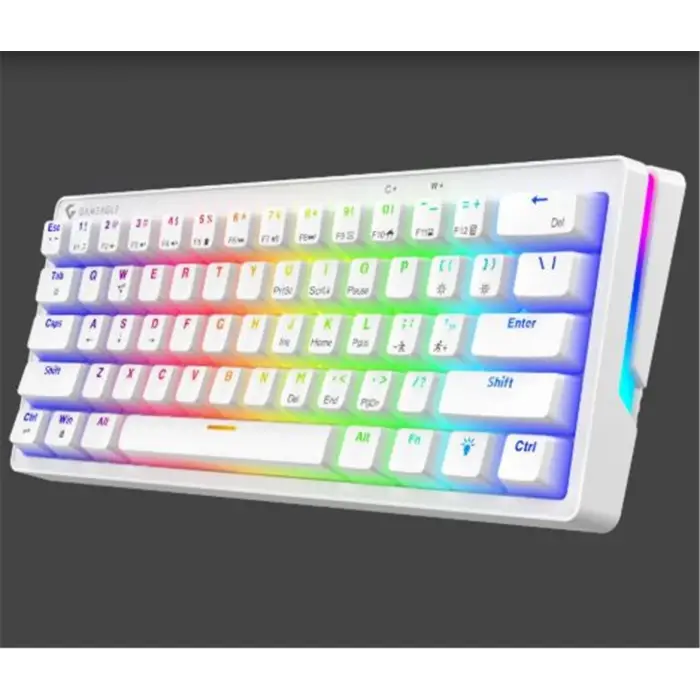 Gameagle GE2015 Poseıdon RGB Kablolu Us Layout Mekanik Beyaz Oyuncu Klavyesi