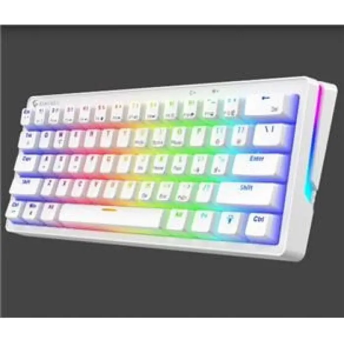 Gameagle GE2015 Poseıdon RGB Kablolu Us Layout Mekanik Beyaz Oyuncu Klavyesi (KDO)
