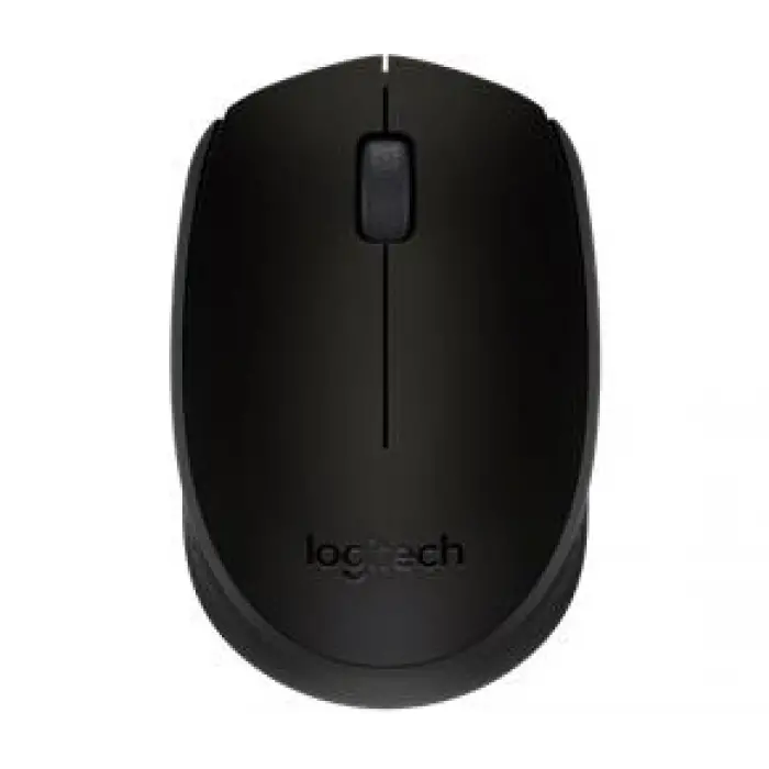 Logitech 910-004424 M171 Kablosuz Siyah Mouse (KDO)