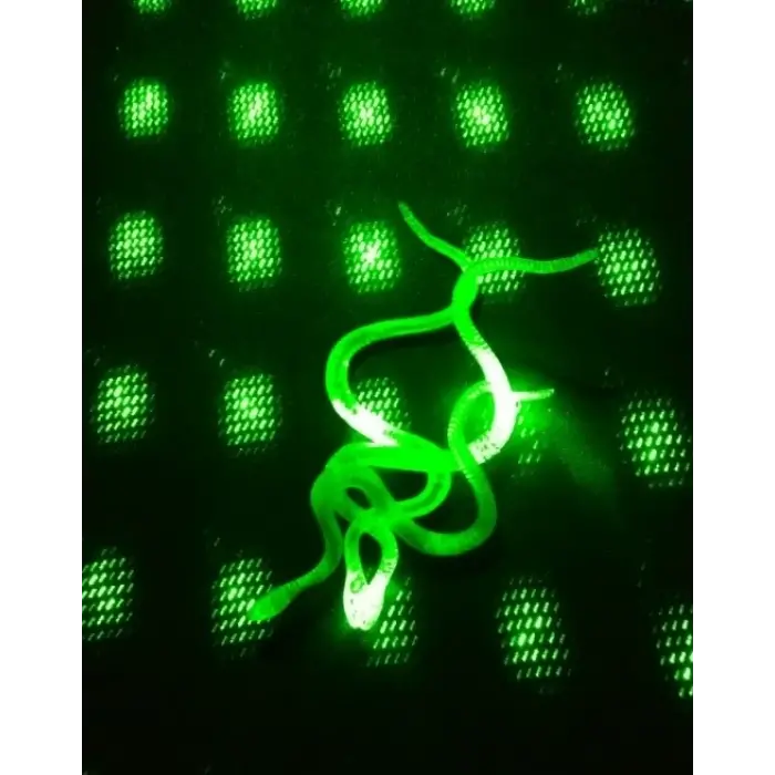 Şaka Yılan Ve Kırkayak Karışık 36 Adet