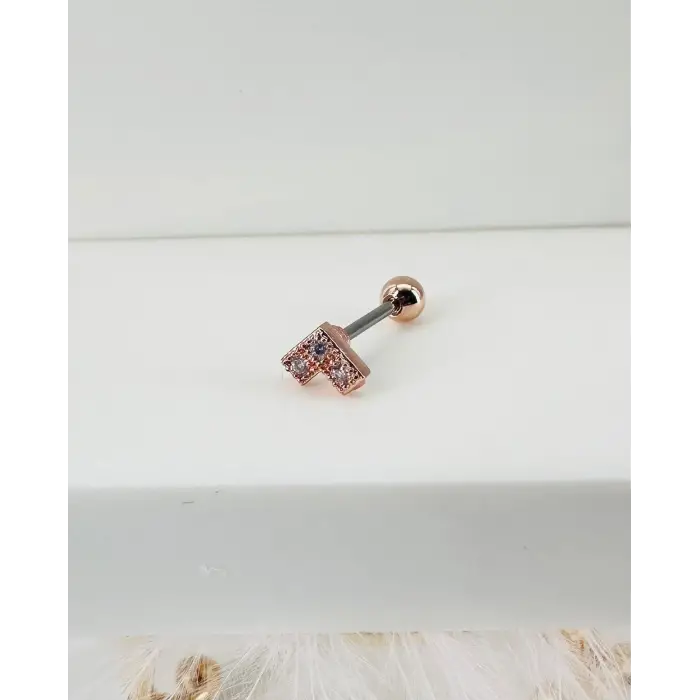 Rose Zirkon Taşlı Uç Kısmı : Pirinç Kıkırdak Bar Uzunluğu : 6 Mm / Bar Kalınlığı 0.8 Mm / Top Boyu 3 Mm - Pt0008-2