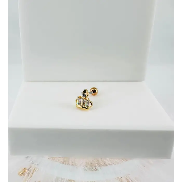 Zirkon Taşlı Uç Kısmı : Pirinç Kıkırdak Bar Uzunluğu : 6 Mm / Bar Kalınlığı 0.8 Mm / Top Boyu 3 Mm - Pt0043-1