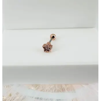 Rose Zirkon Taşlı Uç Kısmı : Pirinç Kıkırdak Bar Uzunluğu : 6 Mm / Bar Kalınlığı 0.8 Mm / Top Boyu 3 Mm - Pt0031-2