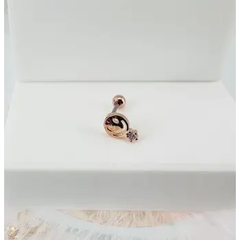 Rose Zirkon Taşlı Uç Kısmı : Pirinç Kıkırdak Bar Uzunluğu : 6 Mm / Bar Kalınlığı 0.8 Mm / Top Boyu 3 Mm - Pt0030-2