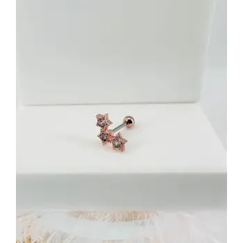 Rose Zirkon Taşlı Uç Kısmı : Pirinç Kıkırdak Bar Uzunluğu : 6 Mm / Bar Kalınlığı 0.8 Mm / Top Boyu 3 Mm - Pt0025-2