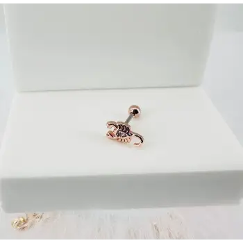 Rose Zirkon Taşlı Uç Kısmı : Pirinç Kıkırdak Bar Uzunluğu : 6 Mm / Bar Kalınlığı 0.8 Mm / Top Boyu 3 Mm - Pt0011-2