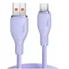 Baseus P10355703511-00 Pud. USB To C 100W Kablo 1.2m-Mor