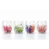 Çift Camlı Çiçekli Bardak Alk4471
