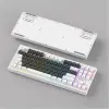 Everest KB-98 SILENT TKL Gri Mavi-Beyaz Rainbow Q Membrane Klavye (KDO)
