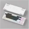 Everest KB-98 SILENT TKL Gri Mavi-Beyaz Rainbow Q Membrane Klavye (KDO)