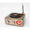 Everton RT-1217bt  Bluetooth Usb-Micro Plak Radyo
