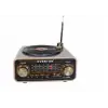 Everton RT-1320  Bluetooth Usb-Micro Plak Radyo (KDO)