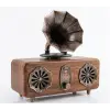 Everton Rt-572 Bluetooth Fm-Usb-Tf-Aux Şarjlı Nostaljik Radyo