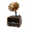 Everton Rt-601 Gramafonlu Bluetooth Fm-Usb-Tf-Aux  Şarjlı Nostaljik Radyo