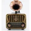 Everton RT-605 Şarjlı,  Nostaljik Radyo( Bluetooth-USB-SD-FM)