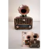 Everton RT-605 Şarjlı,  Nostaljik Radyo( Bluetooth-USB-SD-FM)