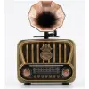Everton RT-605 Şarjlı,  Nostaljik Radyo( Bluetooth-USB-SD-FM)
