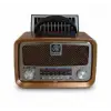 Everton RT-653  Solarlı,Şarjlı Nostaljik Radyo (Bluetooth-USB-SD-FM ) (KDO)
